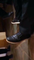 The Alpha’s Breeder Full Movie (2025)