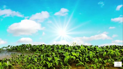 “Finding Meaning in Difficult Times — Gentle Ways Spirituality Supports Coping With Terminal Illness”