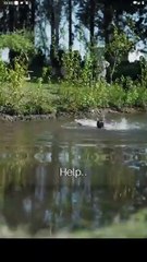 First Triplets At 50 With The CEO Full Movie