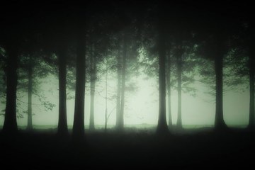 [Horror] Full Movie Breakdown – 720p BluRay HardSub | Cineworld Hub FX