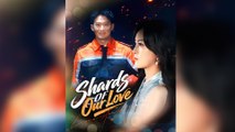 Shards Of Our Love