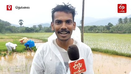 ஊட்டி போல் மாறிய திருநெல்வேலி - கடும் குளிரிலும் விவசாயத்தை மறக்காத மூதாட்டிகள்
