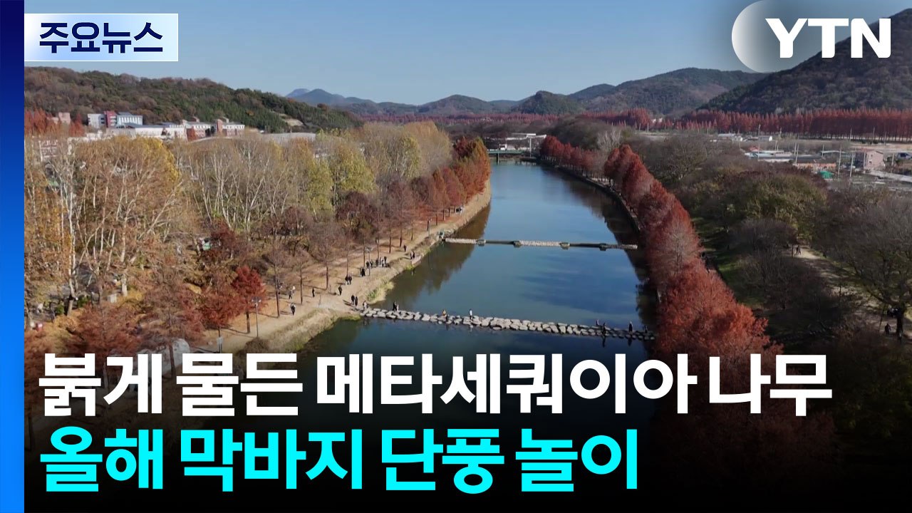 올해 막바지 단풍 놀이...늦가을 정취 만끽 / YTN