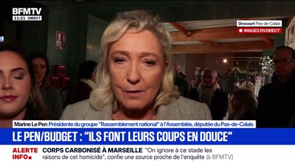 ArcelorMittal: "S'il faut en passer par la nationalisation, alors nous passerons par la nationalisation", affirme Marine Le Pen