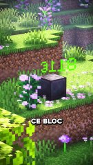 Qui va GAGNER la COURSE ? 😱