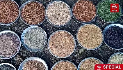 किसान बना देसी बीजों का जादूगर, अनोखी तकनीक से कृषकों को बना रहा मालामाल