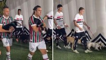 Entrano in campo...con i cani! L'ingresso speciale in Fluminense-San Paolo