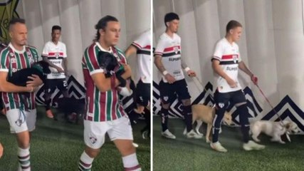 Entrano in campo...con i cani! L'ingresso speciale in Fluminense-San Paolo