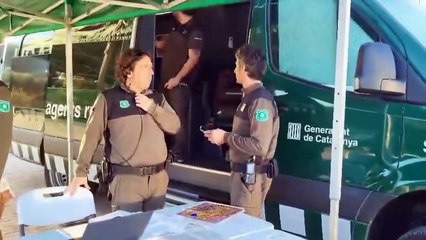 Aparecen muertos 4 jabalíes más en Collserola, donde se prohíben actividades al aire libre