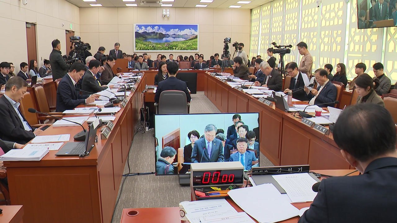 국회 외통위, '여행금지국 방문 처벌 강화' 개정안 의결 / YTN