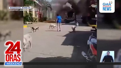 Mga baboy tumakbo mula sa nasunog na jeepney sa Romblon | 24 Oras Weekend