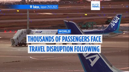 Travel disruption: Thousands of Airbus planes grounded after faulty software detected