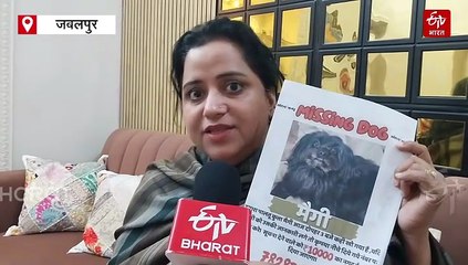 घर से खो गई 'मैगी', डॉक्टर परिवार बेहाल, ढूंढने वाले को मिलेगा 10 हजार का इनाम