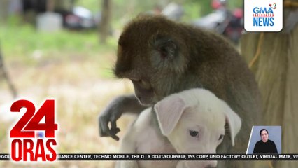 #KuyaKimAnoNa? Express (Nov. 25-29, 2025) - Thailand trip, muntik nang 'di matuloy... | 24 Oras