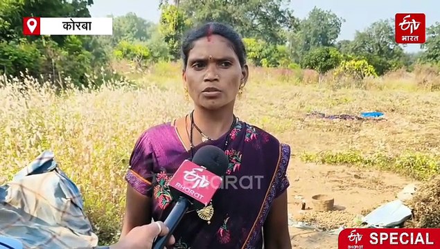 20 गांव के किसानों ने केमिकल खाद से की तौबा, नेचुरल फार्मिंग से ले रहे दोहरा फायदा