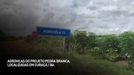 Agrovilas do projeto Pedra Branca, localizadas em Curaçá - BA