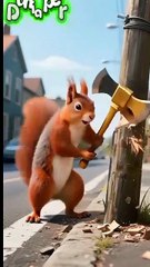 Seekor tupai yang sedang menebang pohon sembarangan di jalan raya