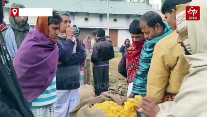 আচ্ছে দিন মালদায়, রেশমের রেকর্ড দামে চাষিদের মধ্যে খুশির হাওয়া