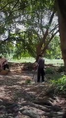 From Trouble to Triumph - When All Turns Around #Dramabox