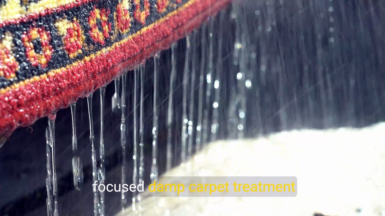 Damp Carpet Treatment | Remove Hidden Moisture Safely