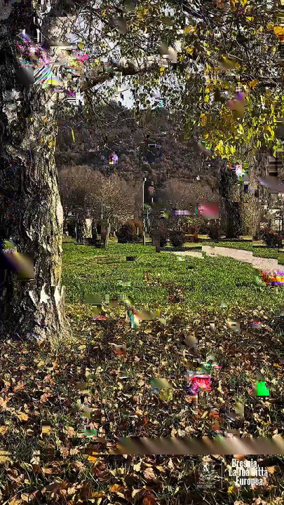 Brescia - Questa mattina al Parco Castelli  (29.11.25)