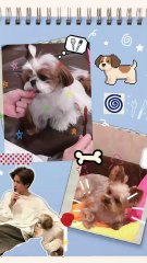 [Vietsub] Vlog 251129