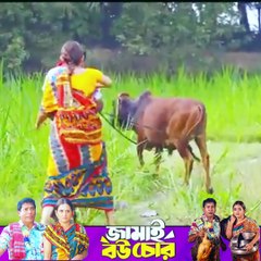 জামাই বউ চোর Jamai Bou Chor Natok Mosharraf Karim -part 1  #ibrahimkhan_zerotokhan #hdvideobanglatv