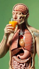 what happens inside your body when you eat mango