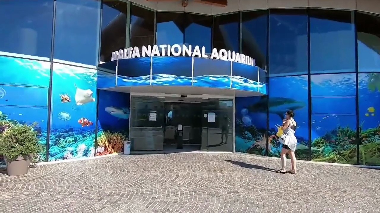 Akvárium Malta