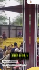 Buntut Perusakan Pos Satgas TNTN, Polda Riau Periksa Saksi dan Pastikan Tak Ada Pembiaran