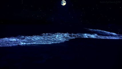 . Soothing Sea Waves ASMR for Sleep Relaxation, Zen Mind Balance, Meditation Peace, and Work Concentration