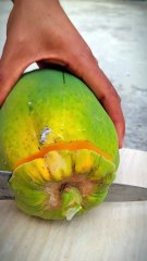 “Unbelievable! Ripe Papayas Hanging on the Tree: The Secret to Perfect Fruit!”