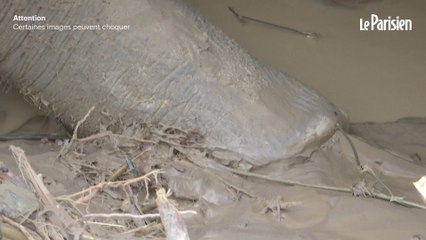 Près de 500 victimes dans les inondations meurtrières en Asie du Sud-Est