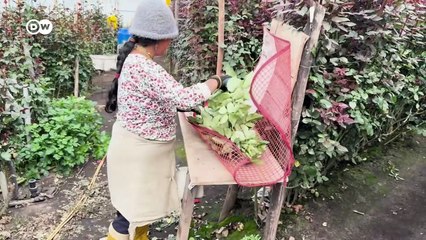 Las rosas más bellas del mundo son de Ecuador