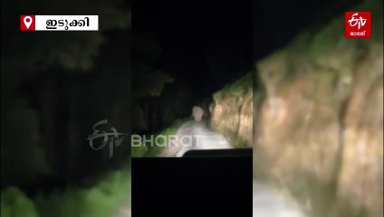 യുഡിഎഫ്‌ സ്ഥാനാര്‍ത്ഥി സഞ്ചരിച്ചിരുന്ന വാഹനത്തിന് നേരെ പാഞ്ഞടുത്ത് കാട്ടാന; രക്ഷപ്പെട്ടത് തലനാരിഴക്ക്