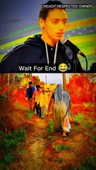 Funny video 🤣🤣#shorts #dmshorts