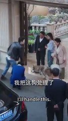 [Engsub] He was always cold-hearted, yet fell for his brother’s fiancée at first sight and took her by force