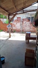 E Agora? Saí do Emprego e Agora Faço Animações para Ganhar Dinheiro.