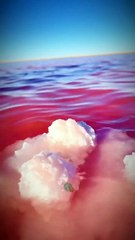 Dünyanın en sıra dışı göllerinden biri göl sanki pembeye boyanmış