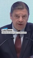 El ministro Planas asegura estar "limitando el impacto" de la peste porcina