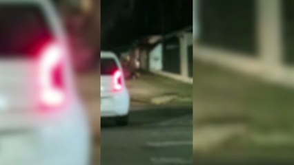 Briga vira “aula gratuita de jiu-jitsu de rua” em Cascavel