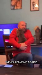 POV: Your Cat Has ZERO Personal Space! 😹 (Clingy Cats Compilation)