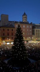 Bologna - Quest’anno l’albero di Natale proviene da Grizzana Morandi (29.11.25)