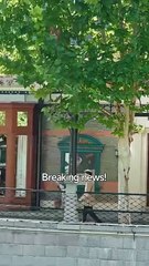 Absolute Power - The Day He Returned