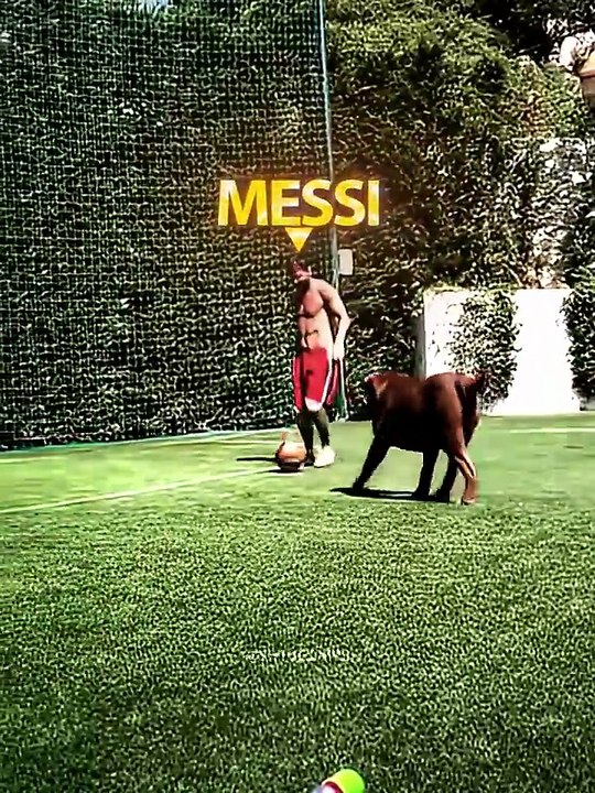 Messi's Hand 👋😈