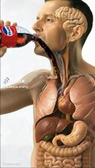 Good food for good health