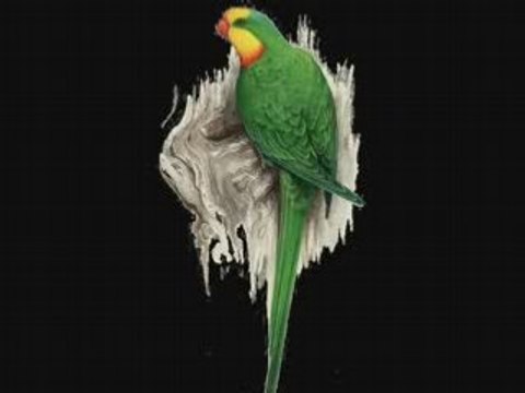 Desire-Tango-Sidney Torch [PARLOPHONE] 78rpm