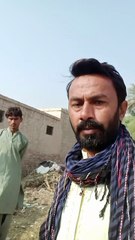 Funny Donkey Moment — Jameel Comedy"