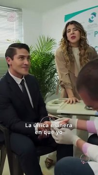 Sí a primera vista Completa en Español - loambition