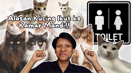 Ini Alasan Kucing Selalu Ikuti Pemilik ke Kamar Mandi-Serius InI Hewan?